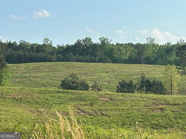 a view of a field with an ocean