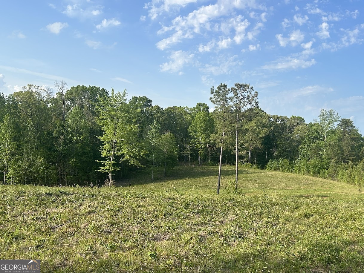 0 Needmore Road, Unit 345 37 ACRES) Roopville, GA 30170 - Photo 9 of 39 a backyard of a house with lots of green space and lake view