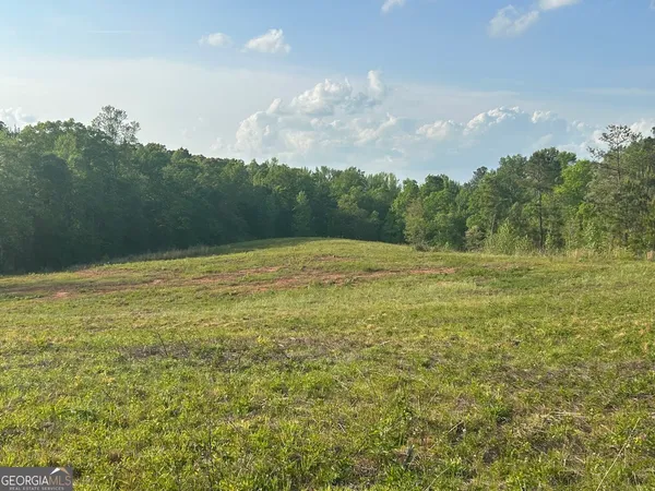 a view of a field with an ocean