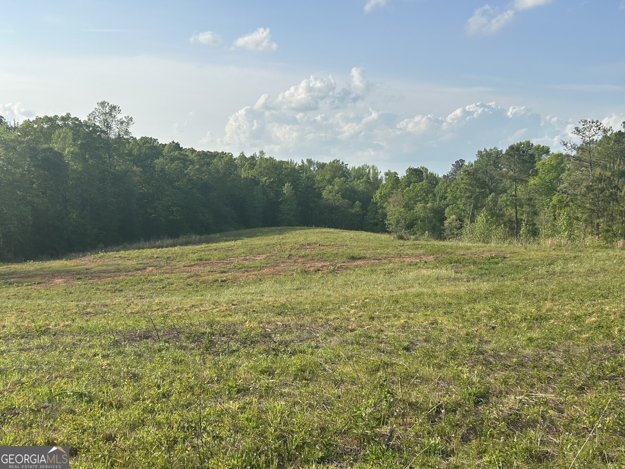 0 Needmore Road, Unit 345 37 ACRES) Roopville, GA 30170 - Photo 10 of 39 a view of a field with an ocean