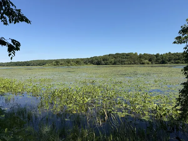 $80,000 | Lots 47-50 West Lakeshore, Elkhorn, WI 53121