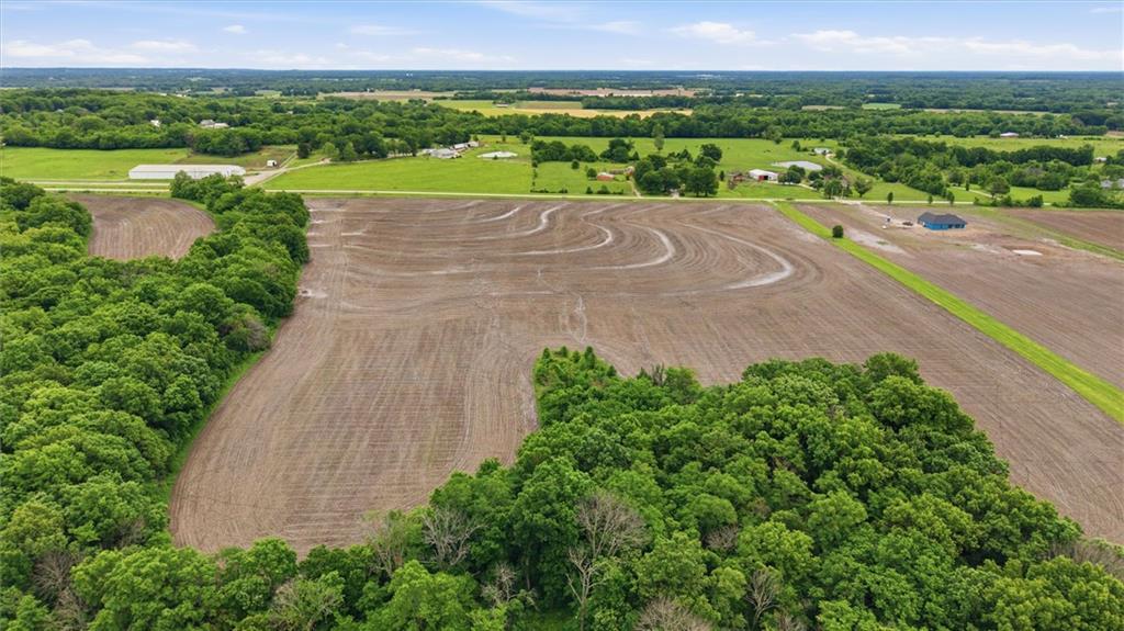 Lot 1 State Rte Highway Drexel, MO 64742 - Photo 6 of 7