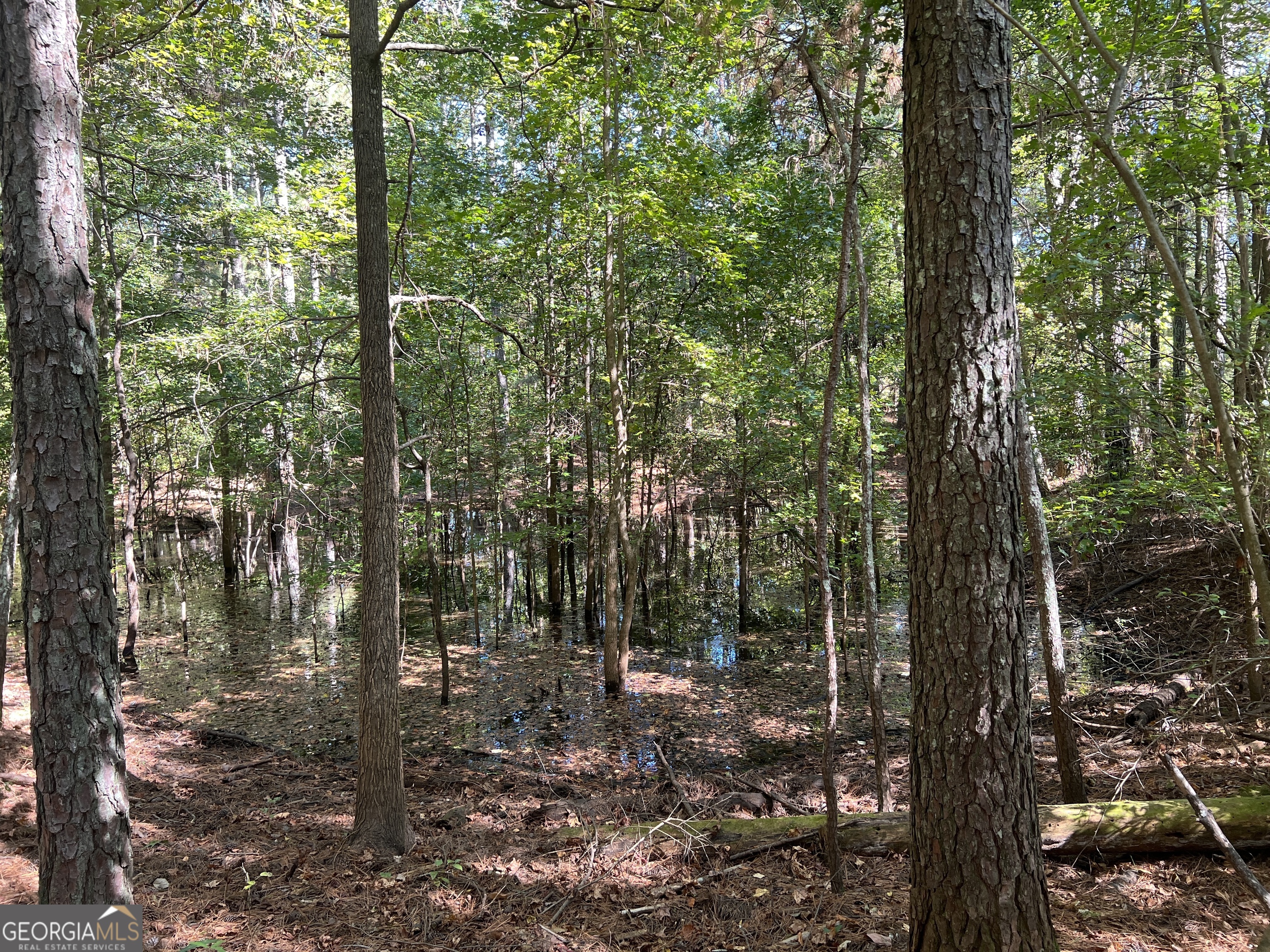 1500 Pine Forest Road Mansfield, GA 30055 - Photo 13 of 47 a view of forest