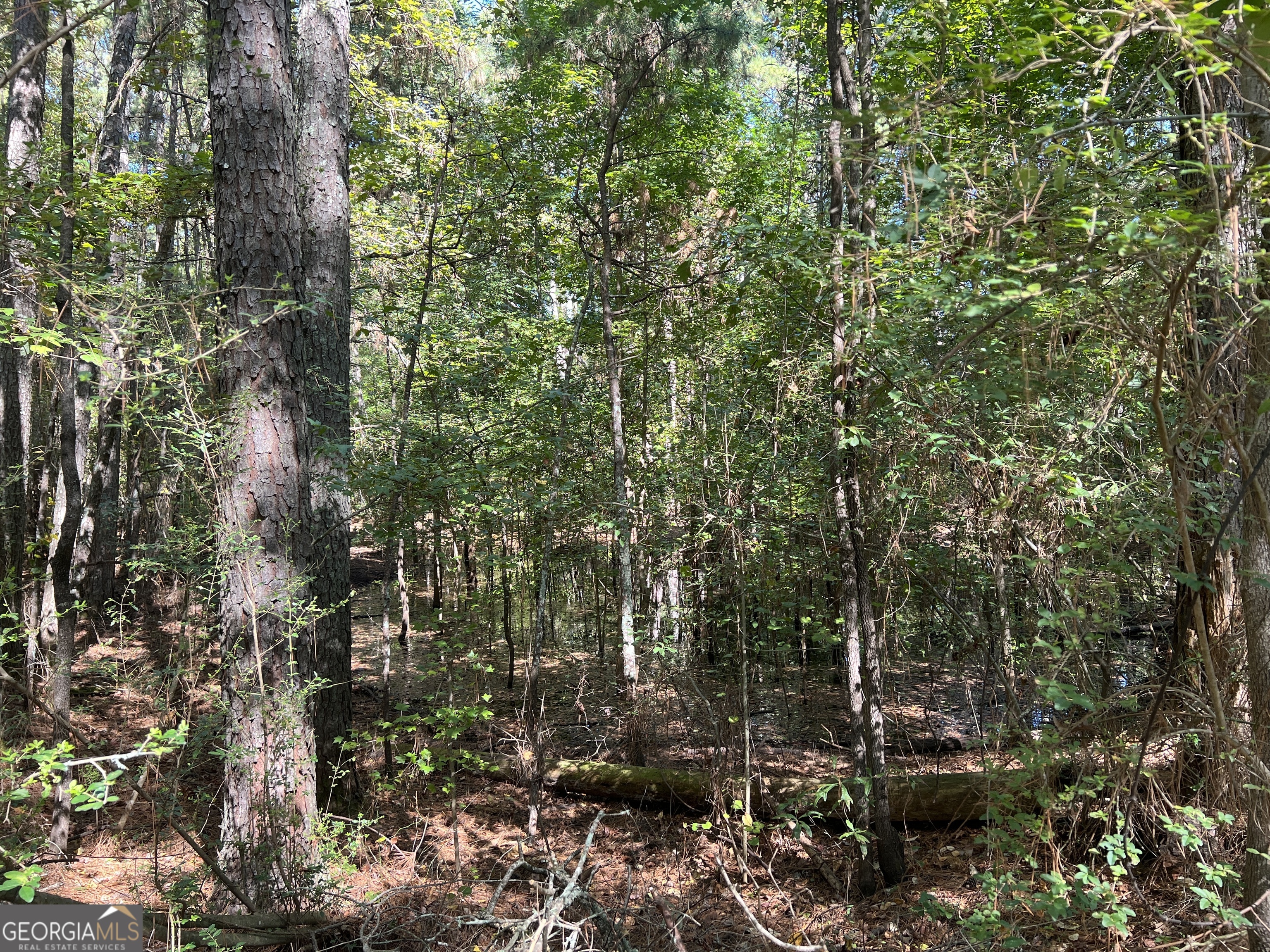 1500 Pine Forest Road Mansfield, GA 30055 - Photo 14 of 47 a view of outdoor space and a yard