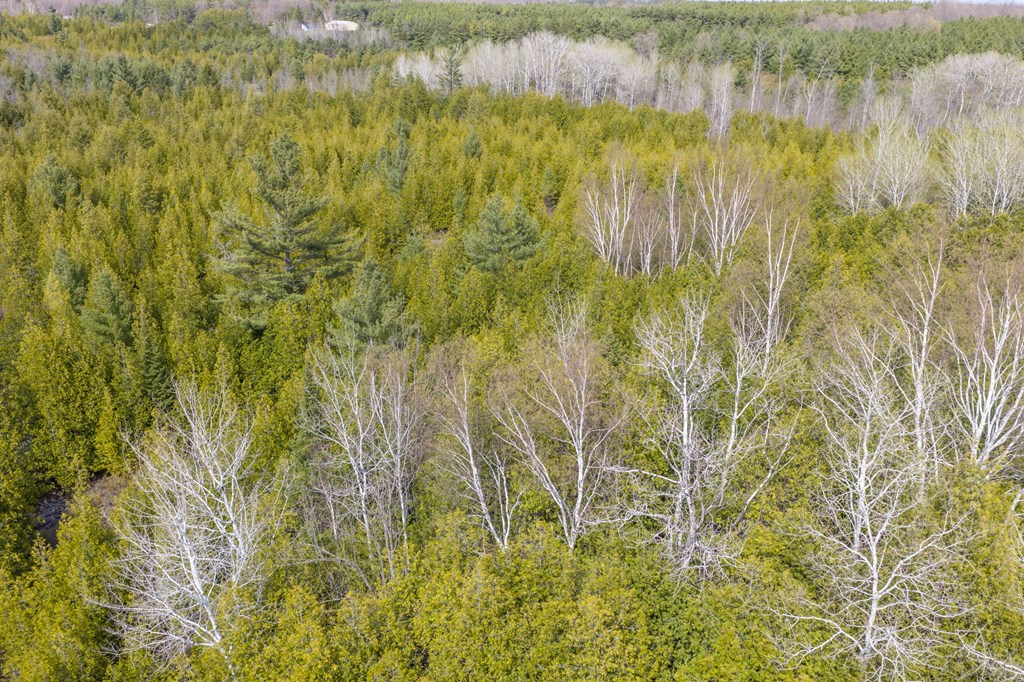 Lot 2 Hill Road Sister Bay, WI 54234 - Photo 31 of 35