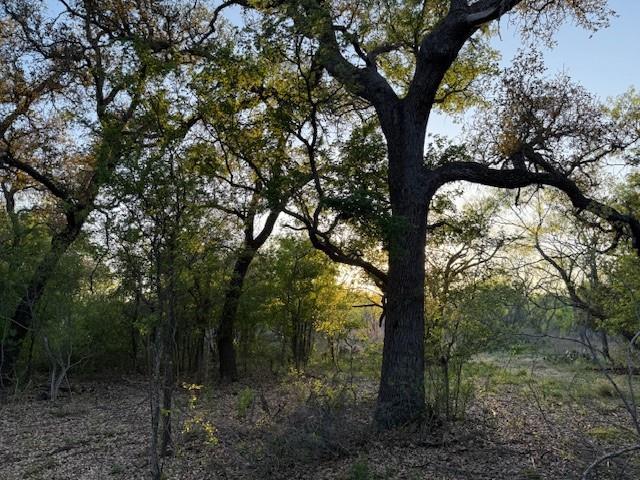 950 County Road 442 Rochelle, TX 76872 - Photo 9 of 20