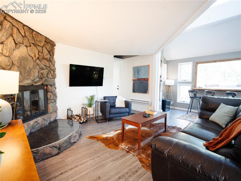 57 Granite Road Florissant, CO 80816 - Photo 15 of 46 a living room with furniture and a flat screen tv
