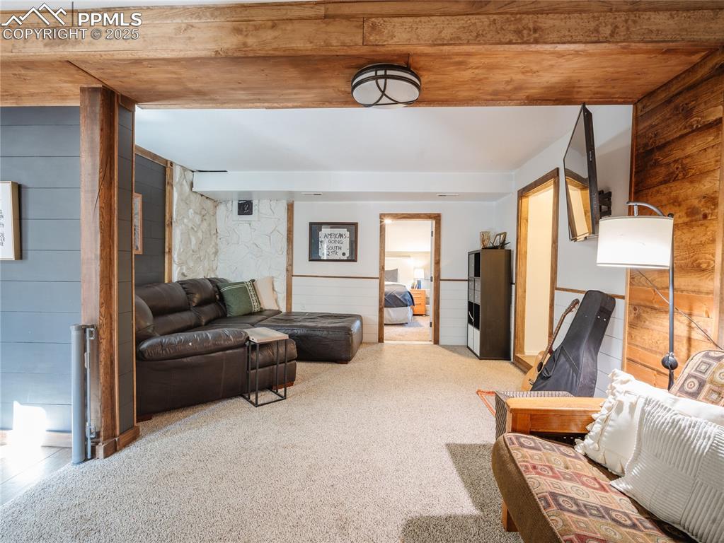 57 Granite Road Florissant, CO 80816 - Photo 27 of 46 a living room with furniture and a flat screen tv