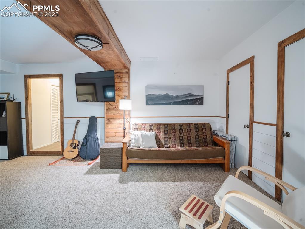 57 Granite Road Florissant, CO 80816 - Photo 29 of 46 a bedroom with furniture and a flat screen tv