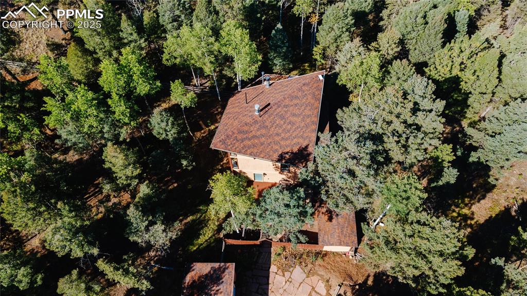 57 Granite Road Florissant, CO 80816 - Photo 41 of 46 an aerial view of a house with a yard and trees all around