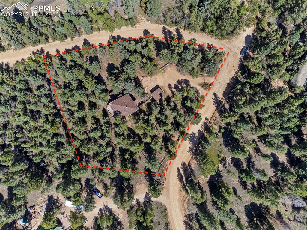 57 Granite Road Florissant, CO 80816 - Photo 42 of 46 an aerial view of a house with a yard and large trees