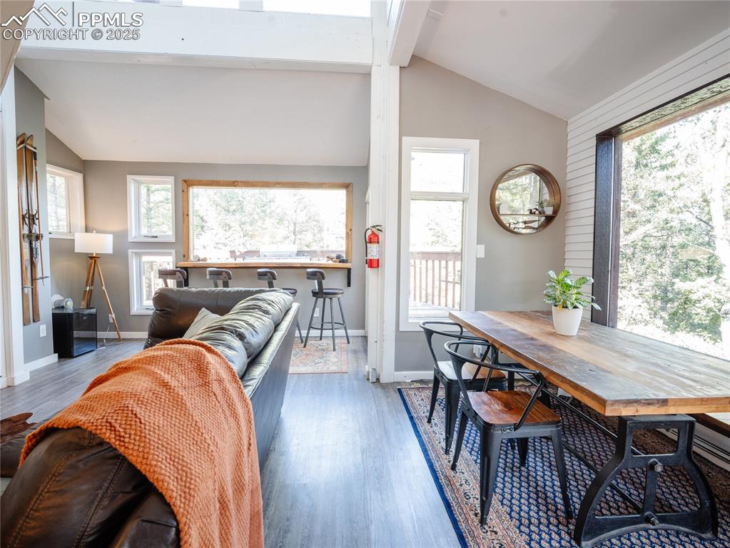 57 Granite Road Florissant, CO 80816 - Photo 9 of 46 a living room with furniture a large window and wooden floor