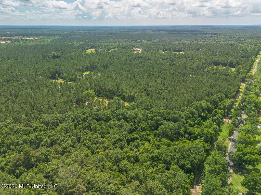 Blackwell Farm Road Saucier, MS 39574 - Photo 11 of 12 29-14
