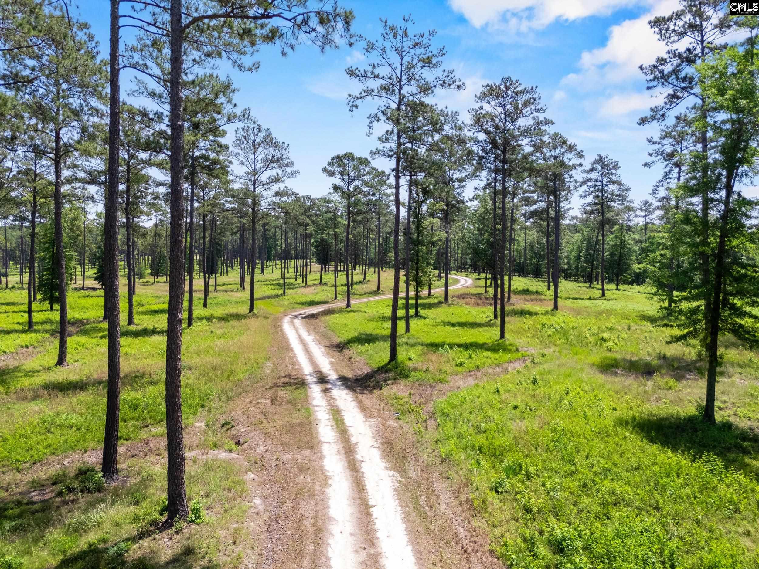 1626-01 Sumter Highway Rembert, SC 29128 - Photo 11 of 16