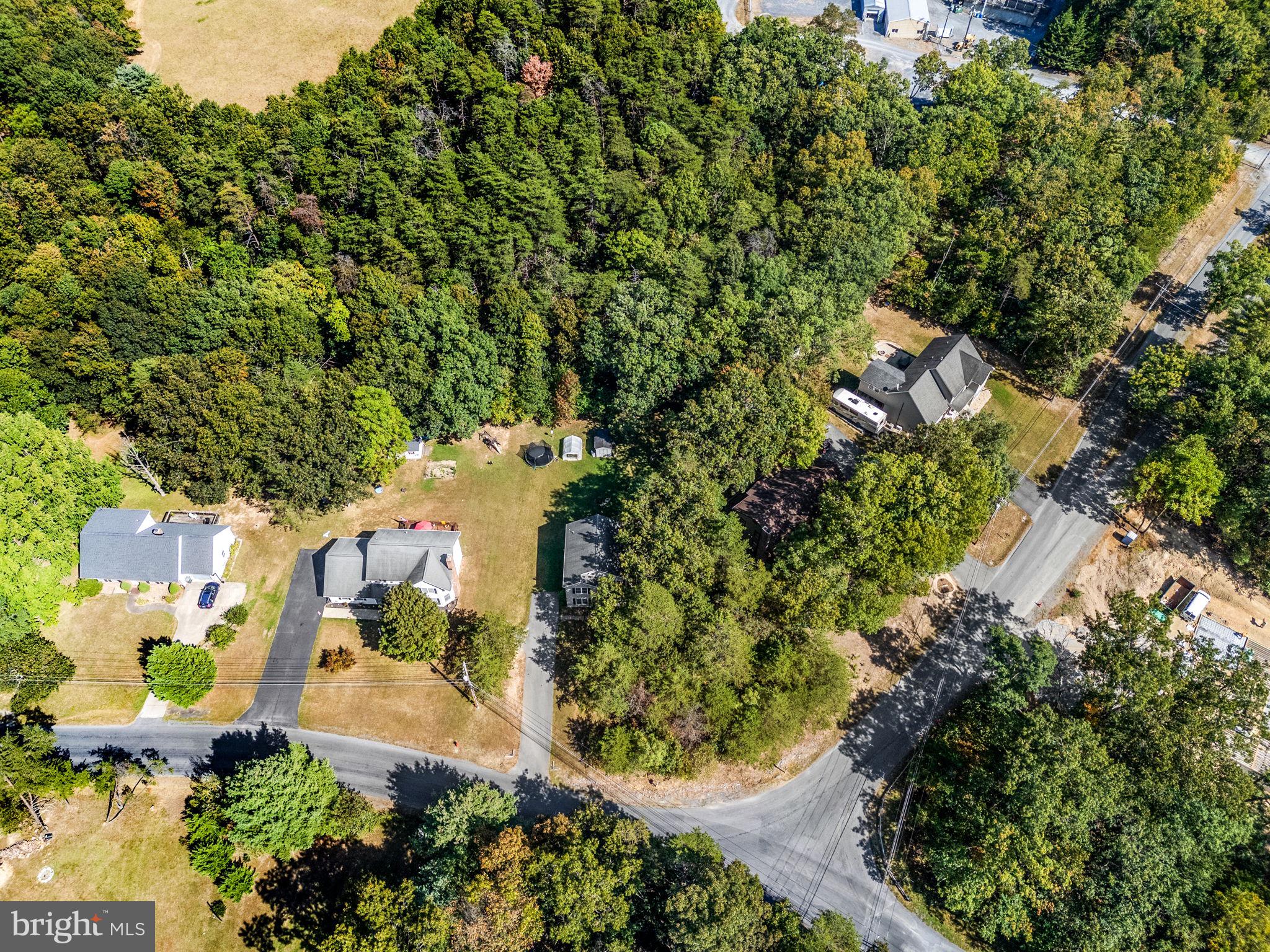 205 Holiday Road Cross Junction, VA 22625 - Photo 3 of 80