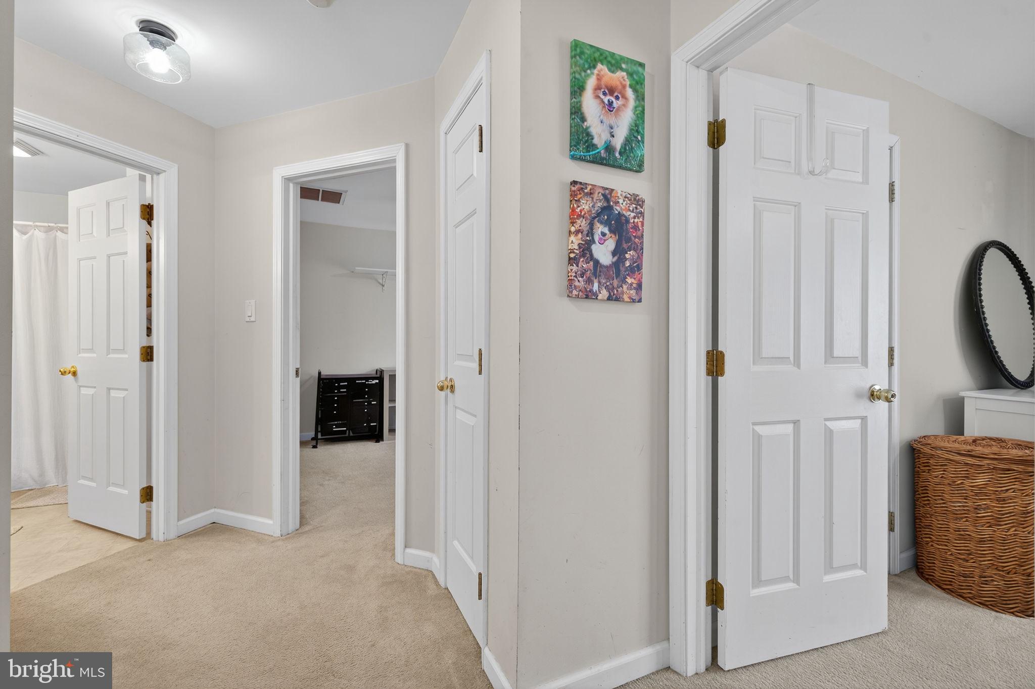 205 Holiday Road Cross Junction, VA 22625 - Photo 36 of 80