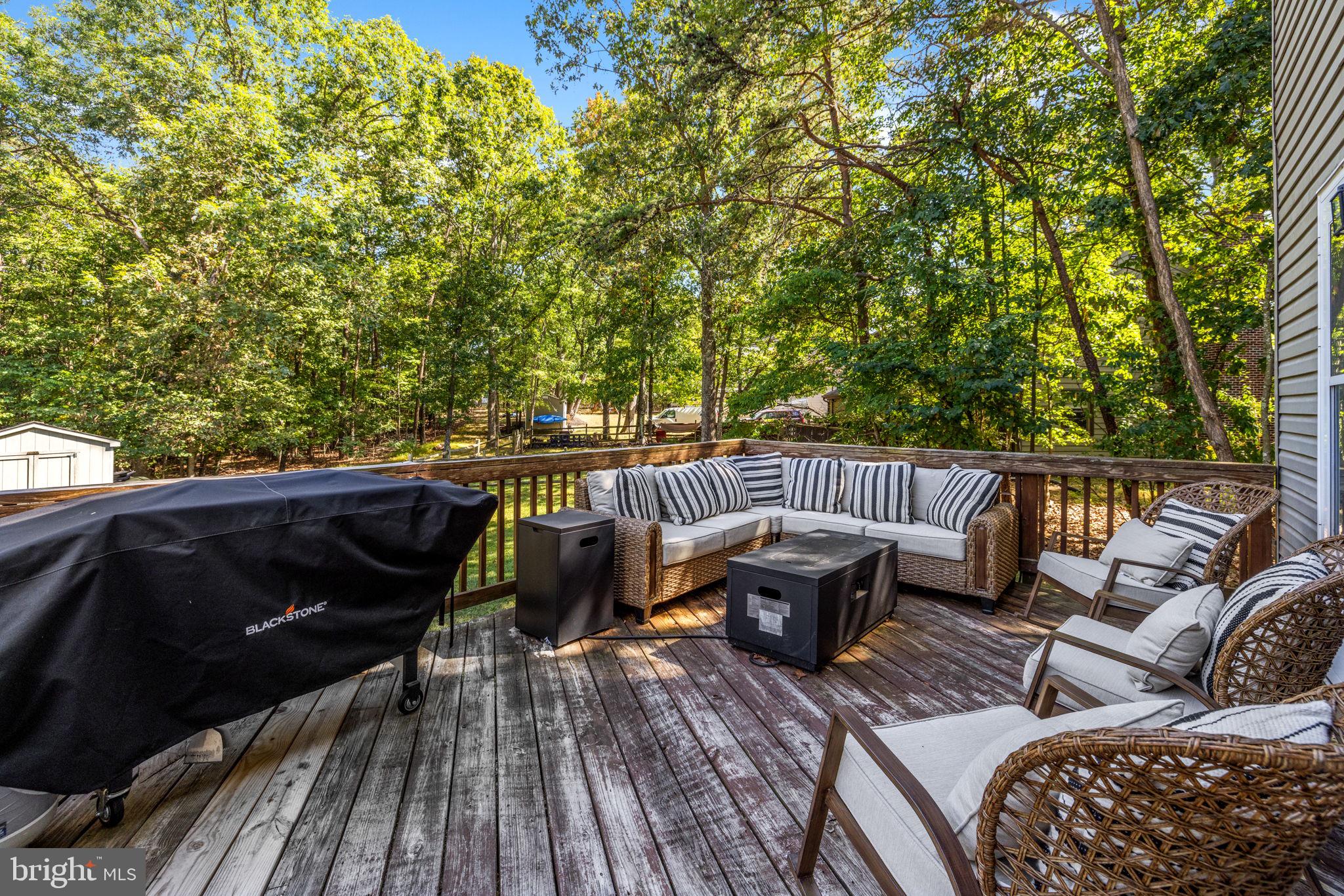 205 Holiday Road Cross Junction, VA 22625 - Photo 52 of 80