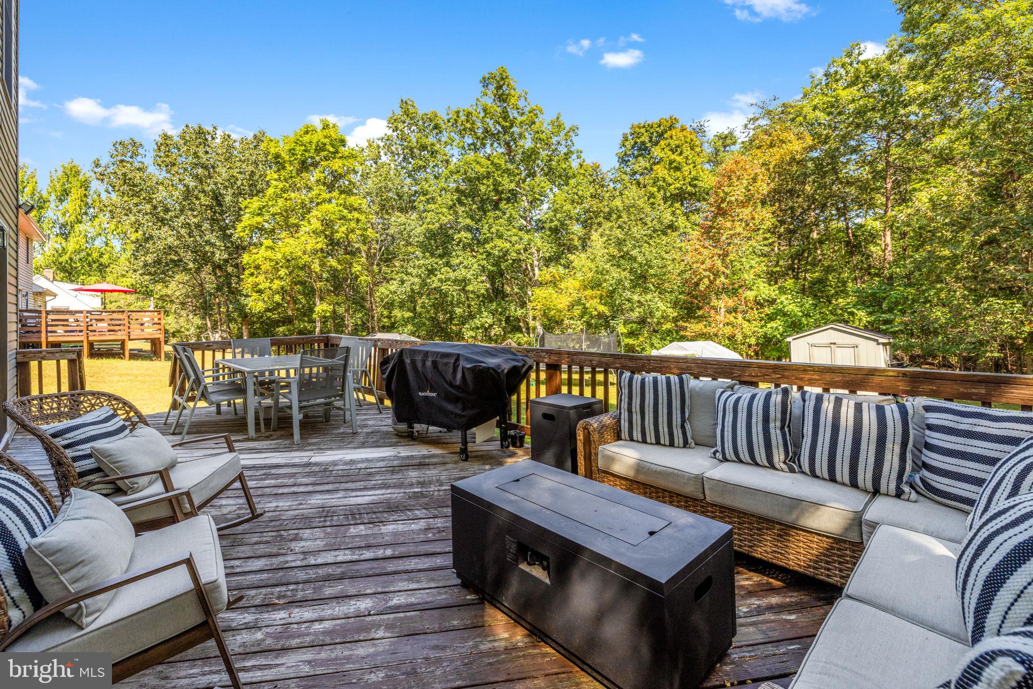 205 Holiday Road Cross Junction, VA 22625 - Photo 53 of 80