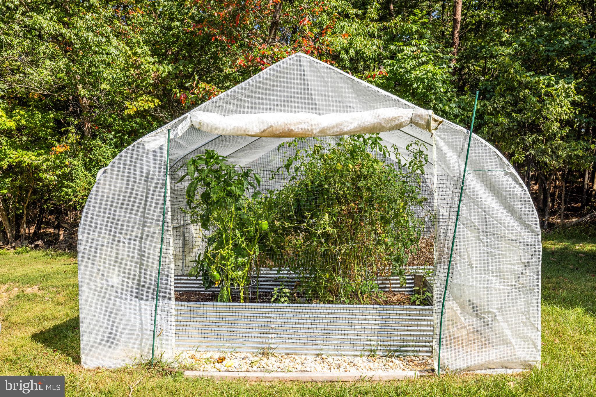 205 Holiday Road Cross Junction, VA 22625 - Photo 60 of 80