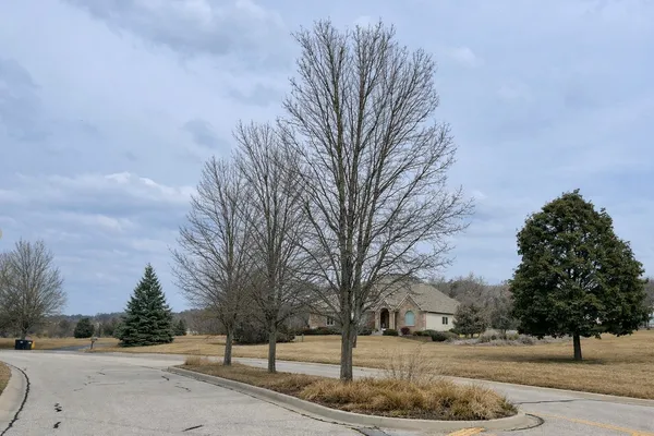 a view of street with tree s