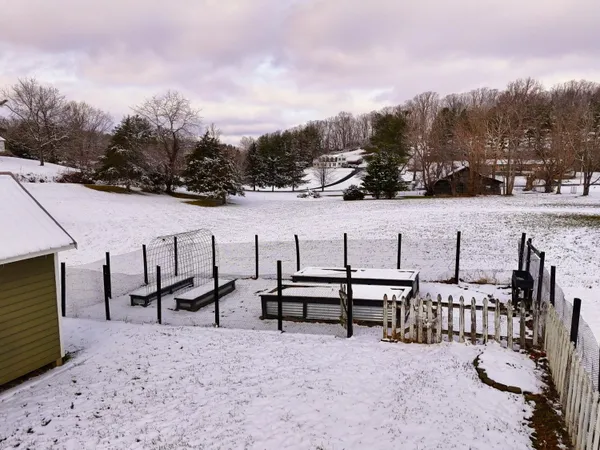 a view of a terrace with chairs