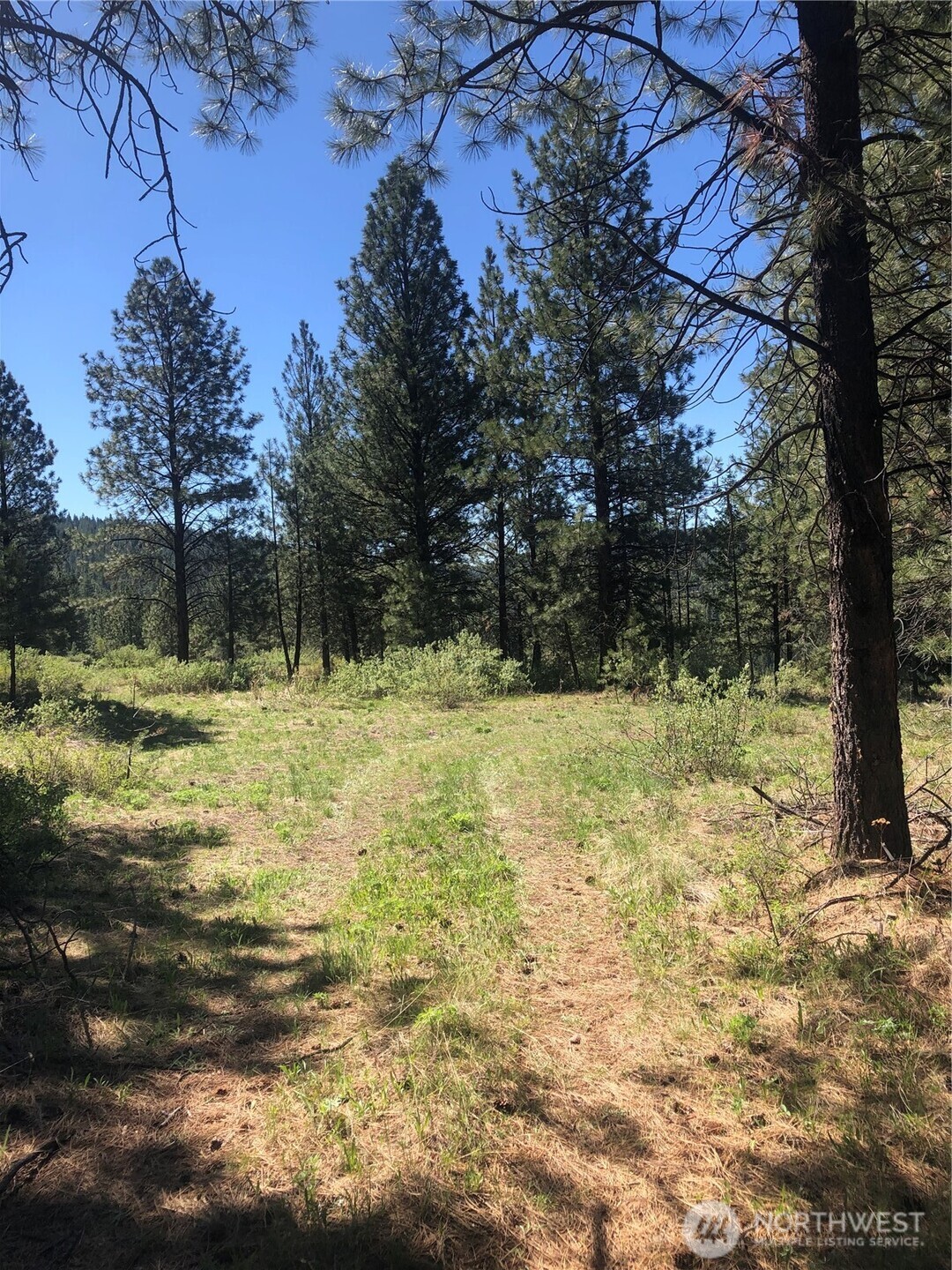 0 Ridge Top Drive Tonasket, WA 98855 - Photo 2 of 9 Gallery Image 2