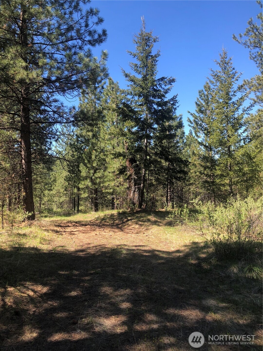 0 Ridge Top Drive Tonasket, WA 98855 - Photo 3 of 9 Gallery Image 3