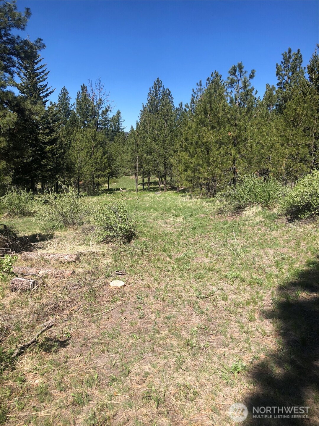 0 Ridge Top Drive Tonasket, WA 98855 - Photo 4 of 9 Gallery Image 4