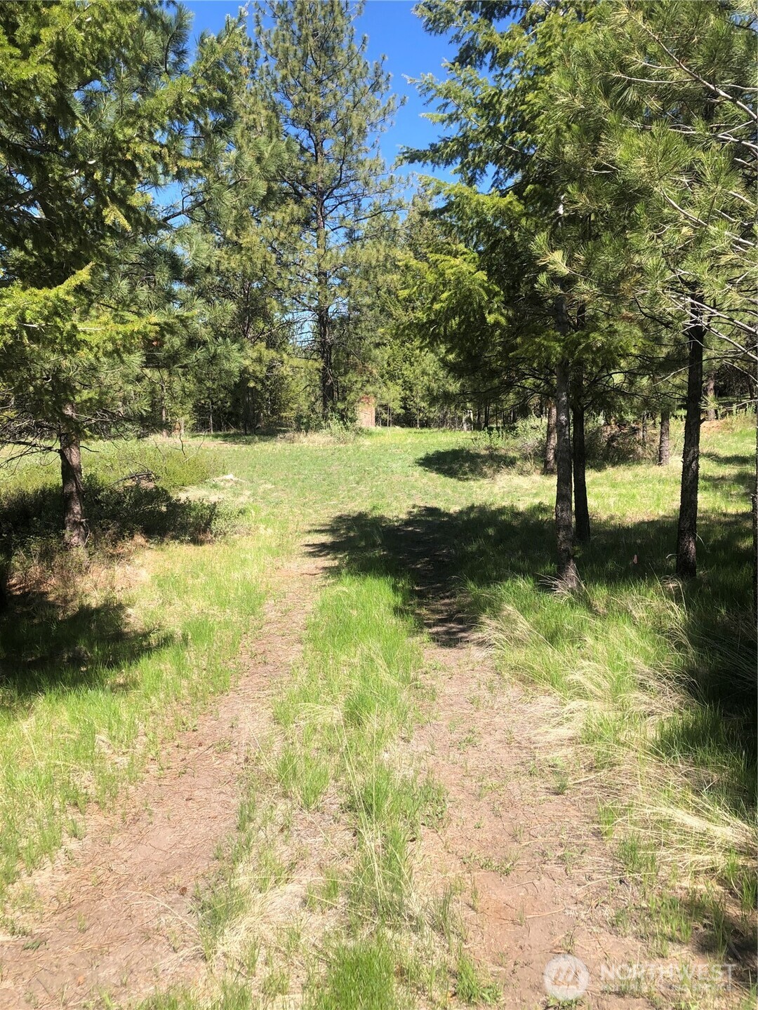 0 Ridge Top Drive Tonasket, WA 98855 - Photo 6 of 9 Gallery Image 6