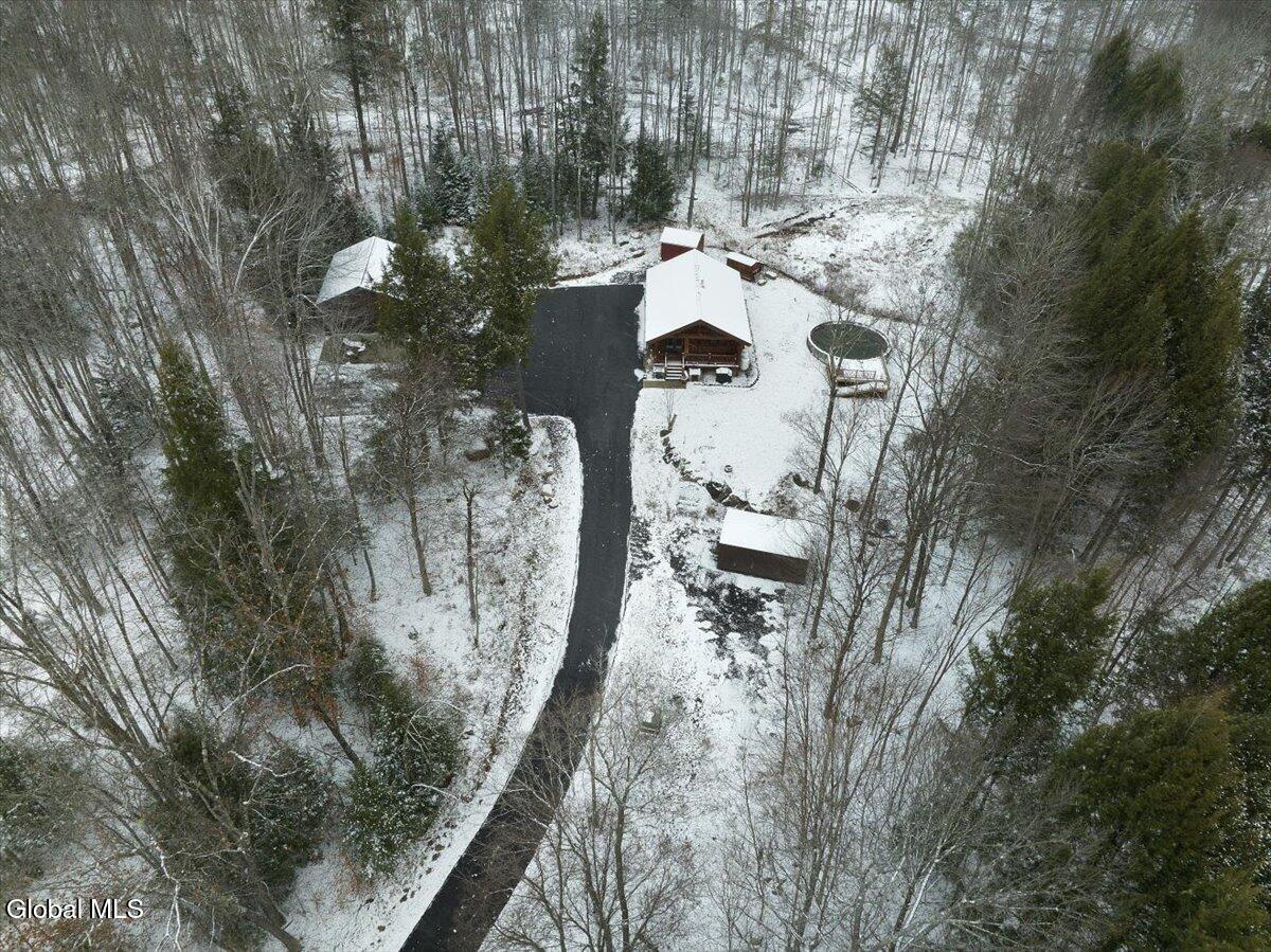 465 Barlow Road Bleecker, NY 12078 - Photo 32 of 40 21-21-DJI_0862