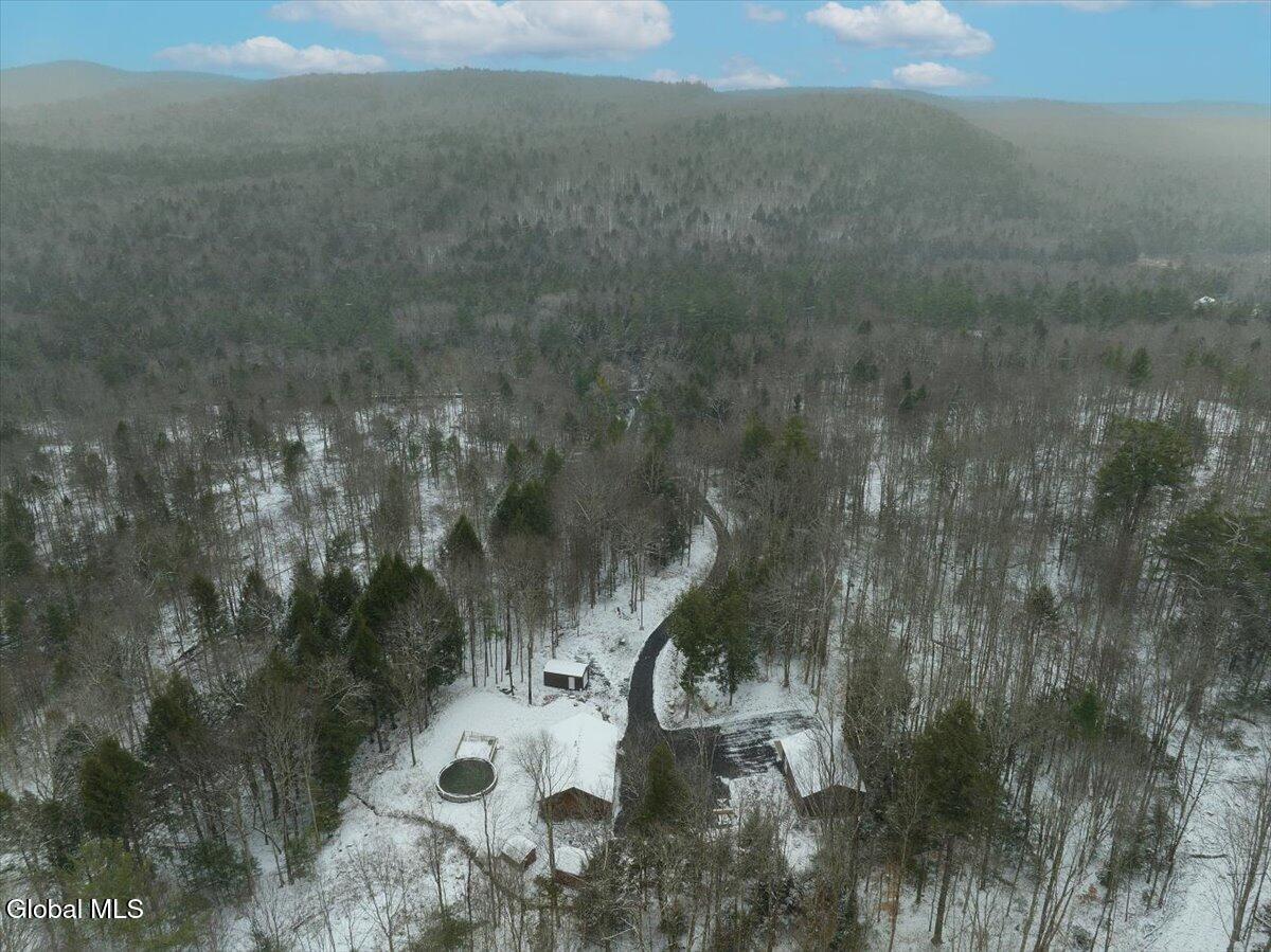 465 Barlow Road Bleecker, NY 12078 - Photo 35 of 40 24-24-DJI_0882