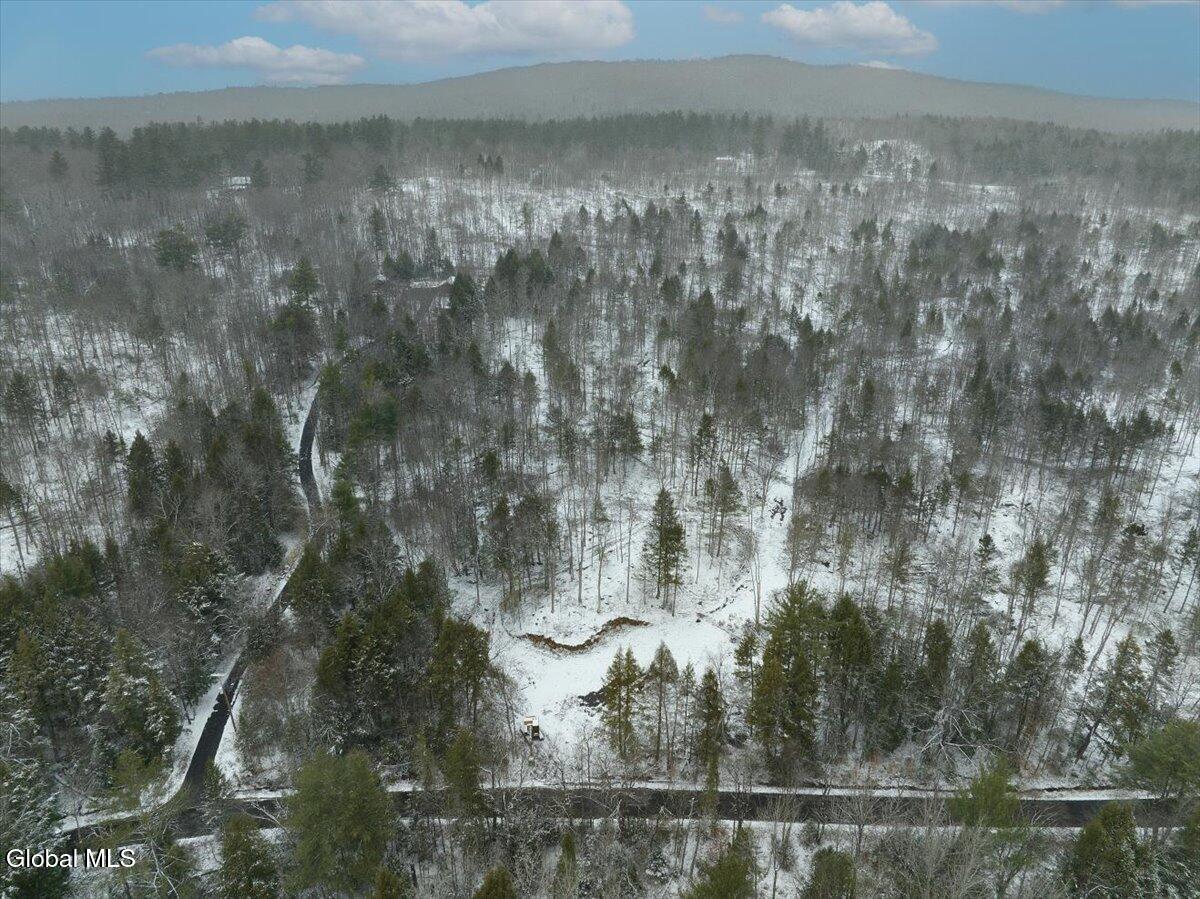 465 Barlow Road Bleecker, NY 12078 - Photo 36 of 40 26-26-DJI_0897