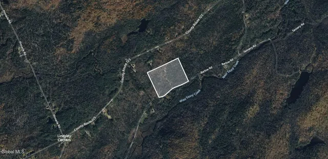 $419,999 | 465 Barlow Road, Bleecker, NY 12078