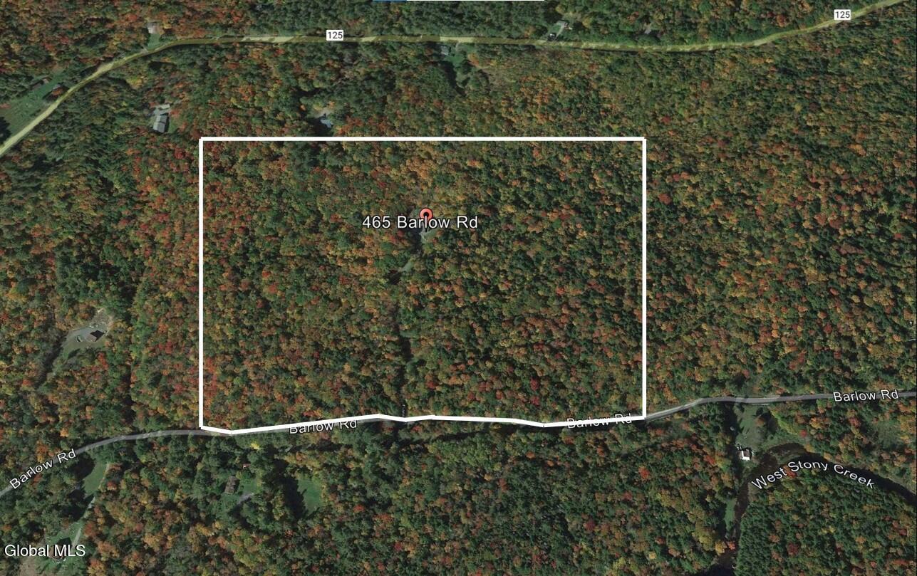 465 Barlow Road Bleecker, NY 12078 - Photo 38 of 40 Property