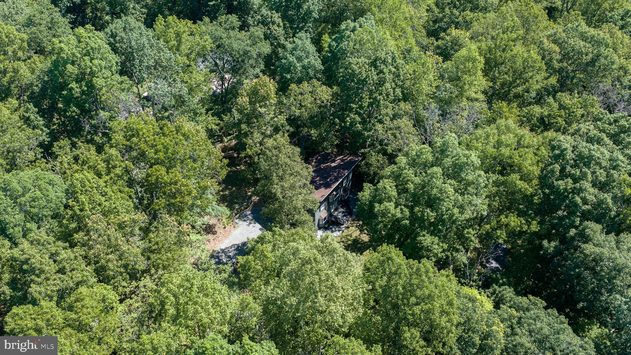 11408 Dutch Hollow Road Culpeper, VA 22701 - Photo 68 of 85