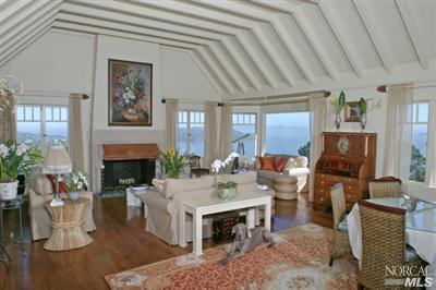 Cloudview Circle Sausalito, CA 94965 - Photo 3 of 11 a living room with furniture a fireplace and a potted plant