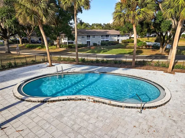 a view of a swimming pool with a yard and palm trees