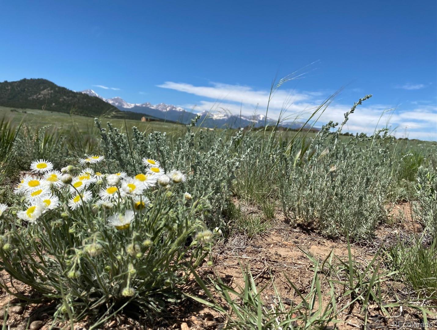 Tbdl50 Tbdl50 Roundup Road Westcliffe, CO 81252 - Photo 4 of 15 Gallery Image 4