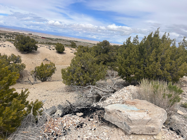19075 West Honesty Cove Duchesne, UT 84021 - Photo 43 of 44 Expansive desert landscape featuring natural rock formations and scattered evergreen trees under a broad sky