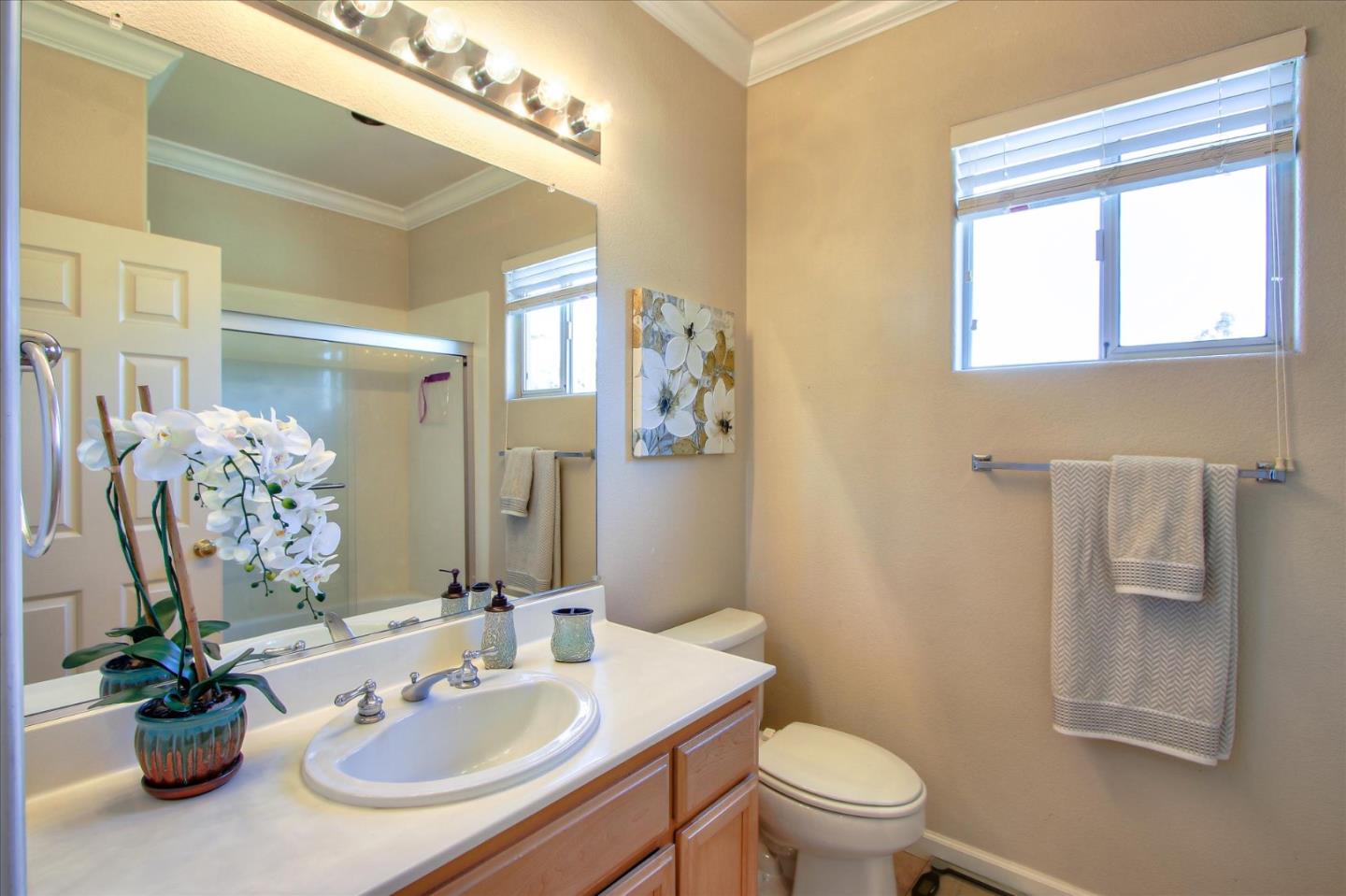 5869 Capilano Drive San Jose, CA 95138 - Photo 37 of 48 a bathroom with a sink toilet and a mirror