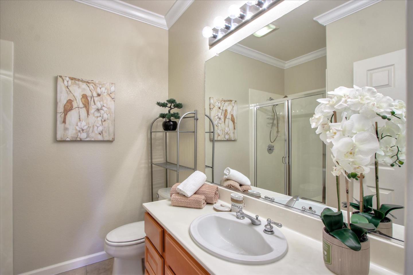 5869 Capilano Drive San Jose, CA 95138 - Photo 38 of 48 a bathroom with a sink a toilet and shower