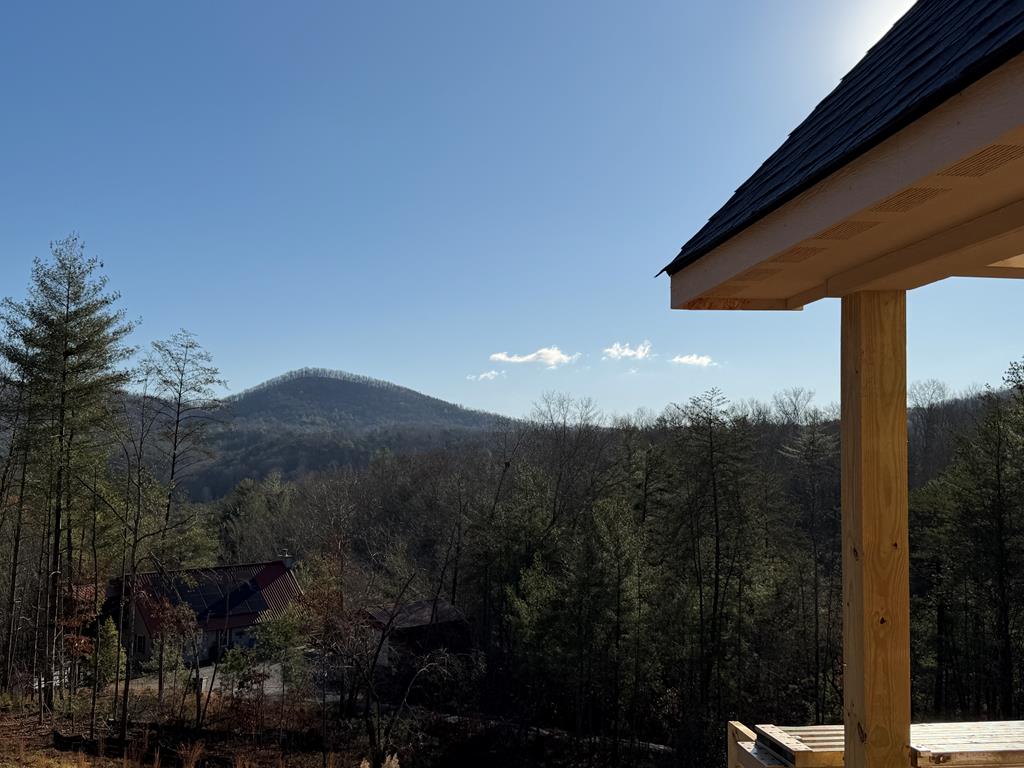 20 B Twin Springs Road Mineral Bluff, GA 30559 - Photo 18 of 59 View from Front Porch