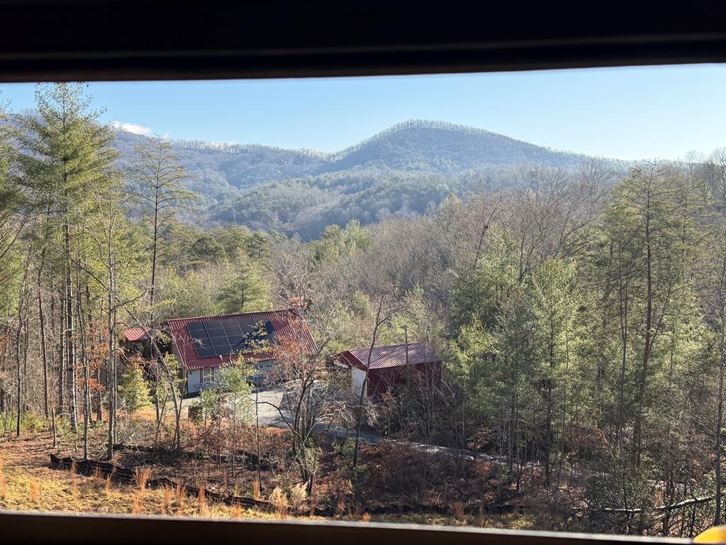 20 B Twin Springs Road Mineral Bluff, GA 30559 - Photo 2 of 59 Long Range Mtn View