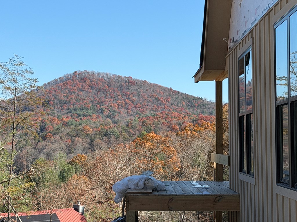 20 B Twin Springs Road Mineral Bluff, GA 30559 - Photo 4 of 59 View off Main Level Porch