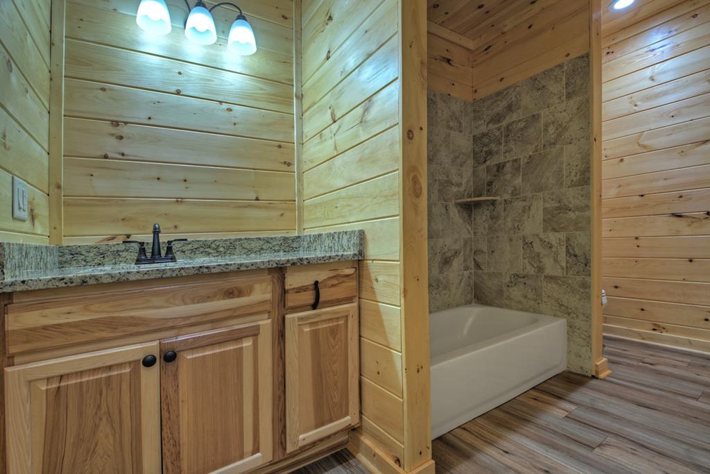 20 B Twin Springs Road Mineral Bluff, GA 30559 - Photo 57 of 59 Representative Bathroom