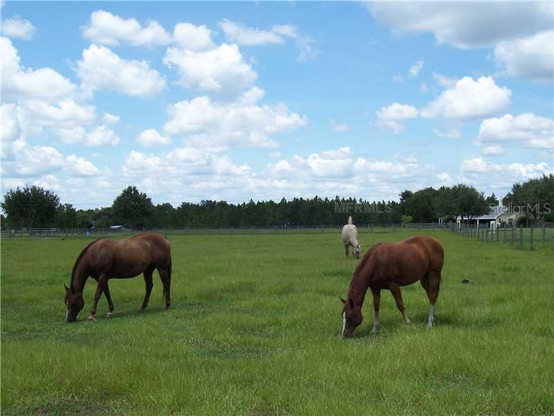 3607 Powerline Road Lithia, FL 33547 - Photo 1 of 1 Land