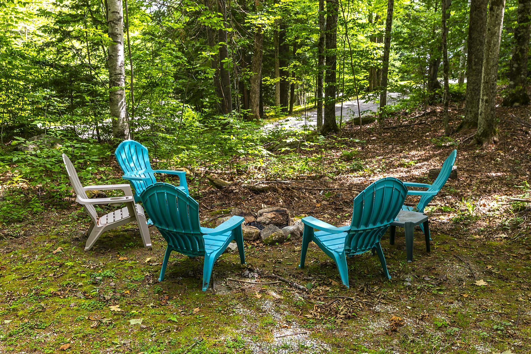 5 Linscott Road, Unit 56 Winhall, VT 05340 - Photo 35 of 35