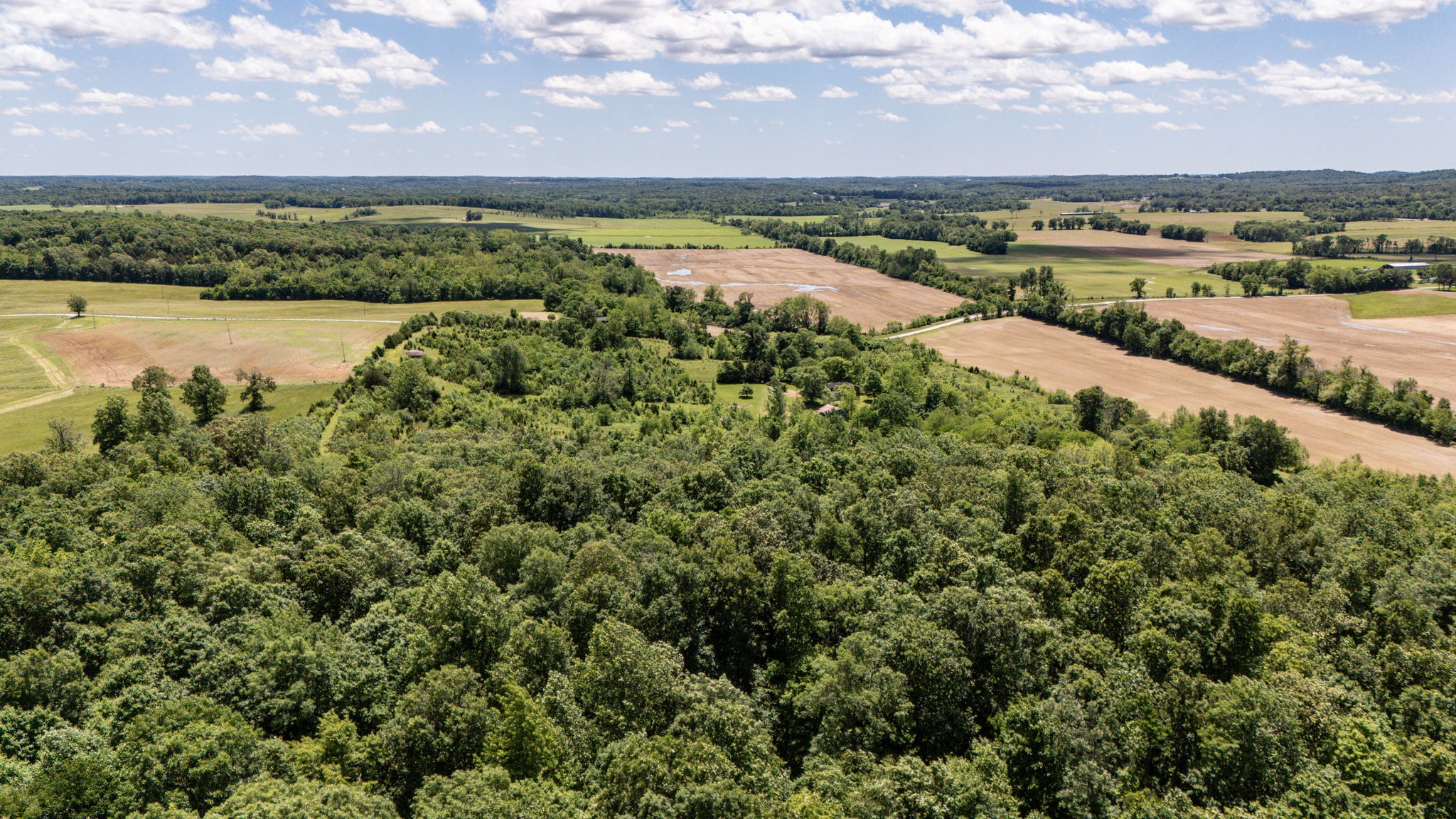 5326 Berry's Lick Road Lewisburg, KY 42256 - Photo 13 of 50 Gallery Image 13