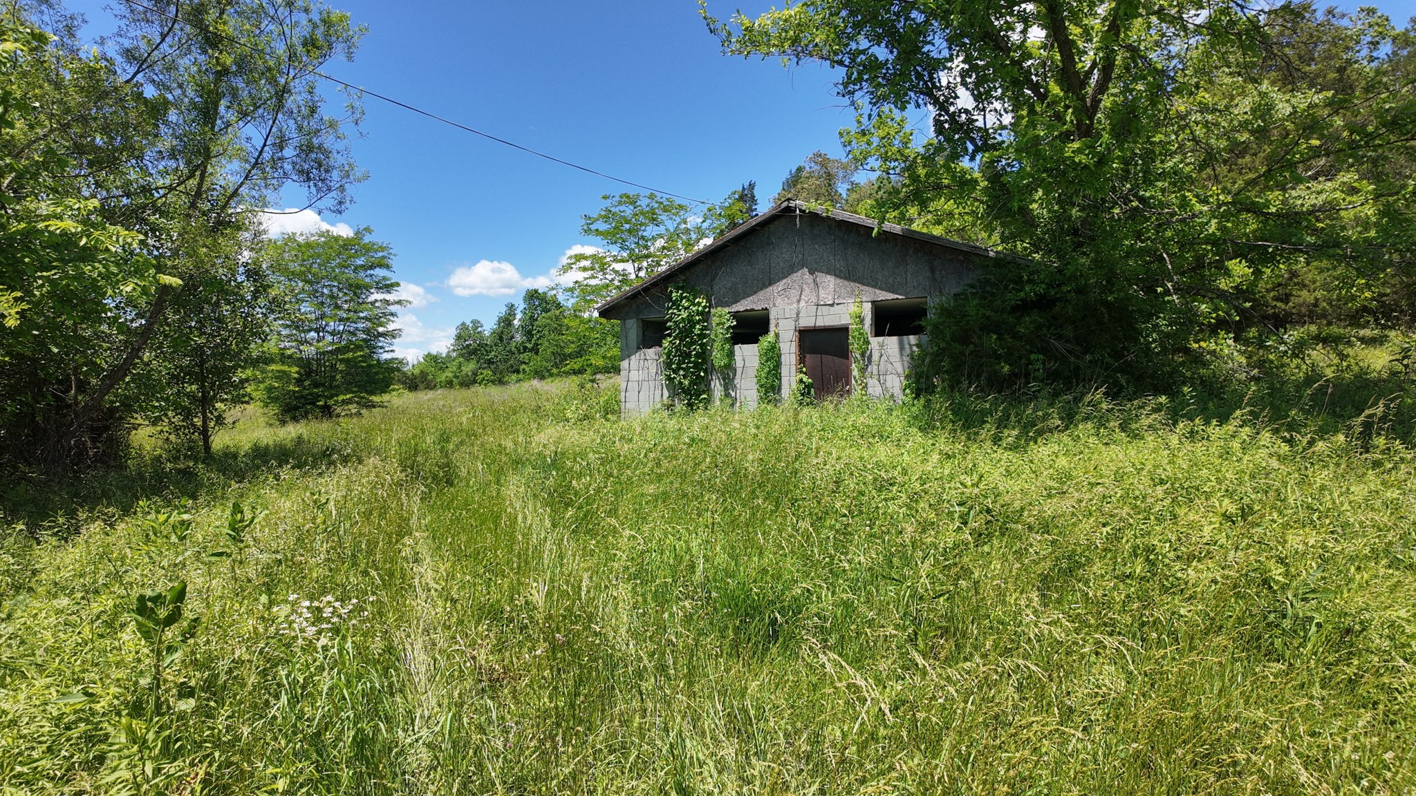 5326 Berry's Lick Road Lewisburg, KY 42256 - Photo 28 of 50 Gallery Image 28