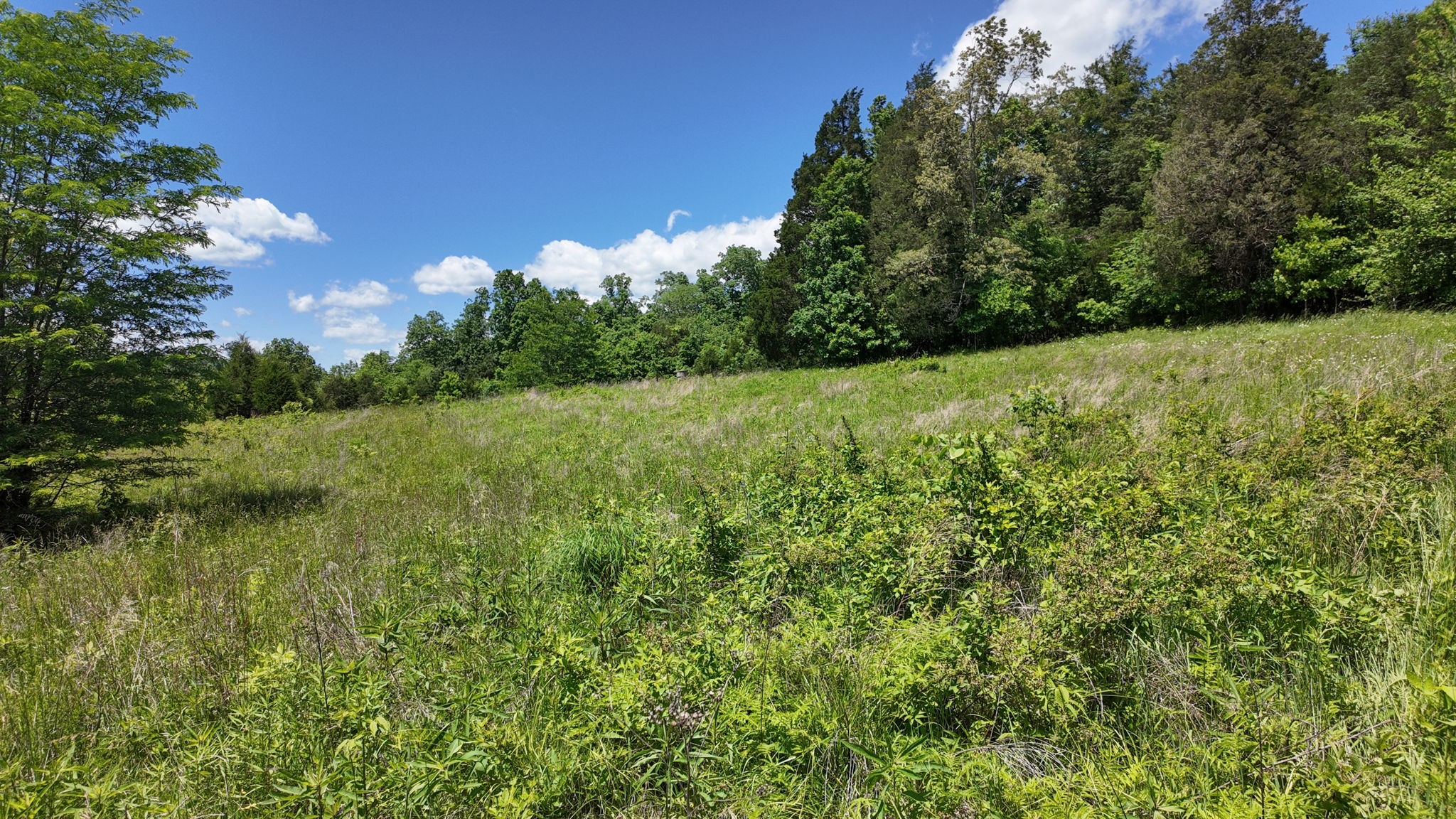 5326 Berry's Lick Road Lewisburg, KY 42256 - Photo 29 of 50 Gallery Image 29